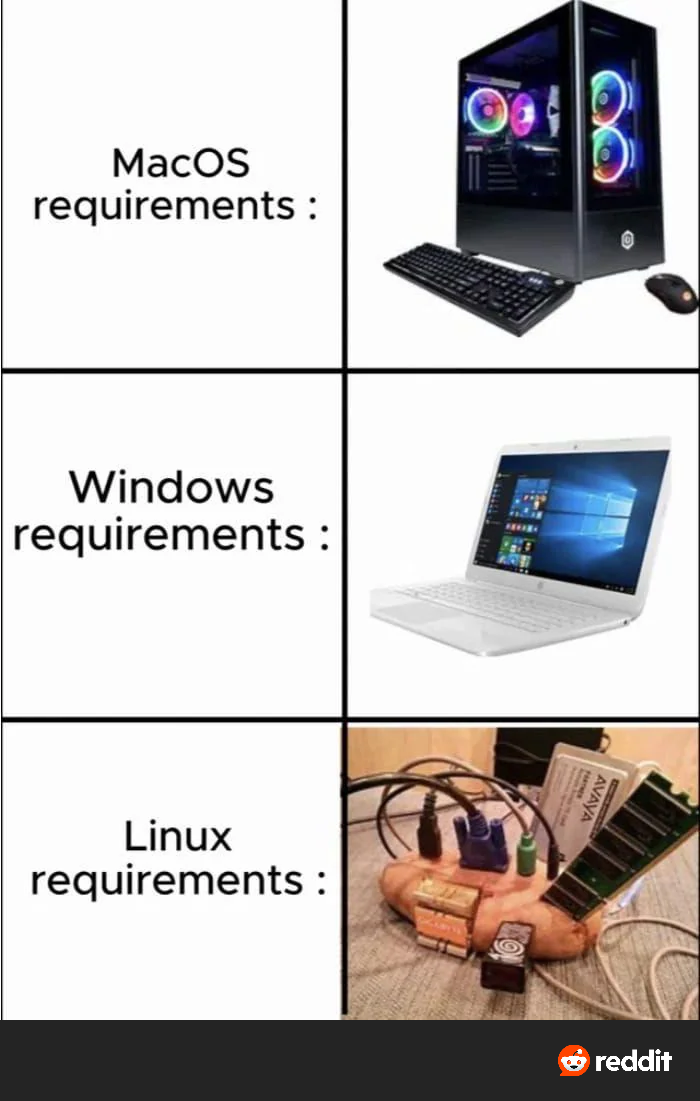WINDOWS vs MACOS vs LINUX